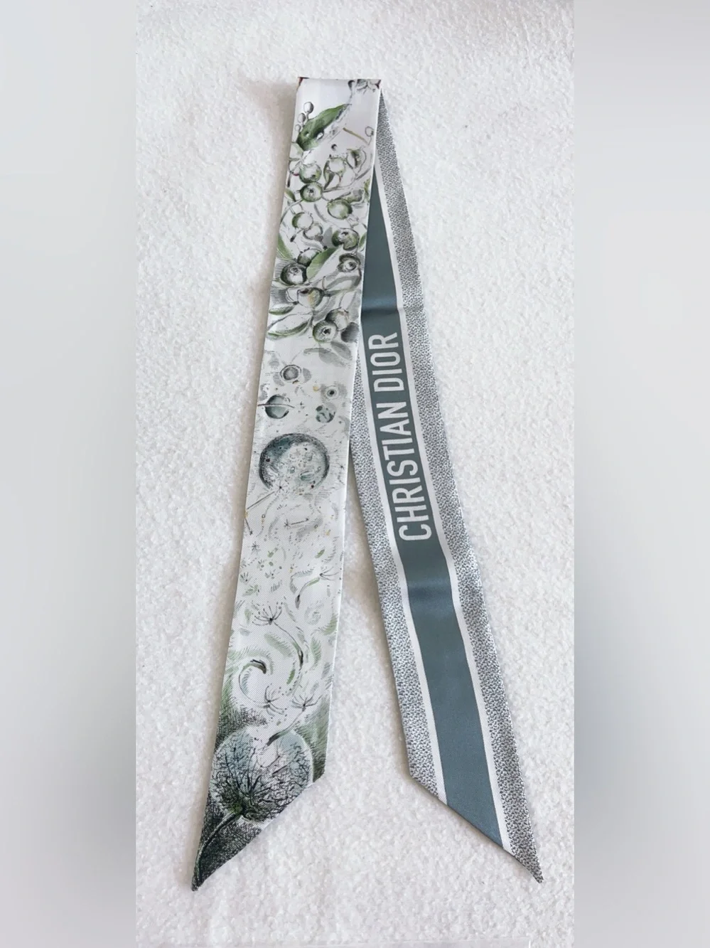 Dior Jardin D’hiver Mitzah Silk Scarf